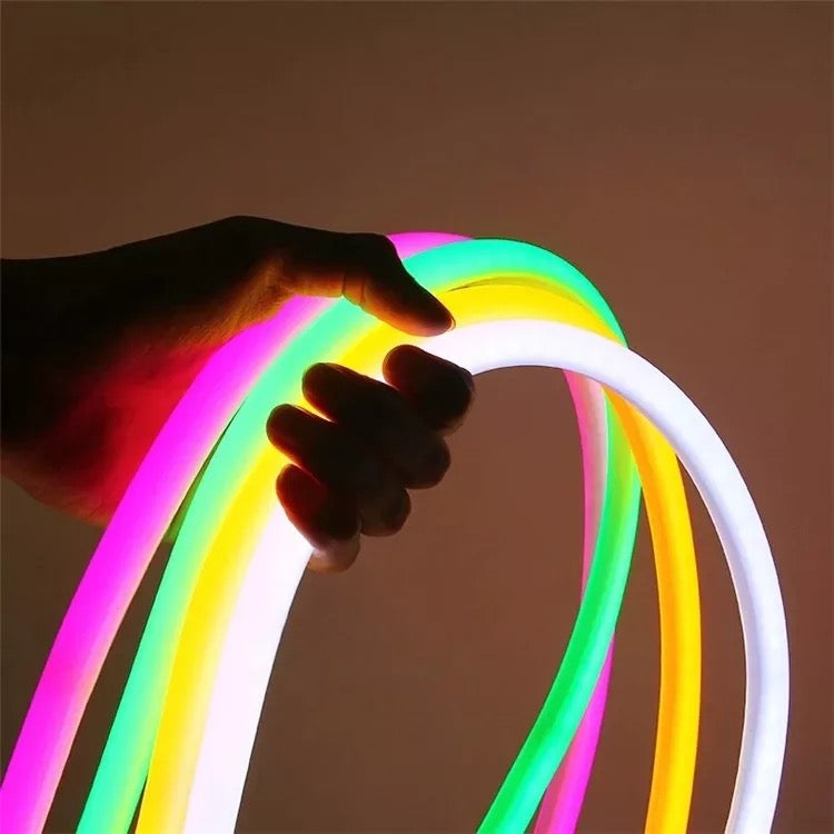 RGB Neon Light 12V 24V Flexible LED Ribbon Tape 5050 2835 120Leds