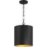 Knox LED 11 inch Matte Black Pendant Ceiling Light
by Access