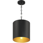 Knox LED 11 inch Matte Black Pendant Ceiling Light
by Access