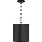 Knox LED 11 inch Matte Black Pendant Ceiling Light
by Access