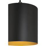 Knox LED 11 inch Matte Black Pendant Ceiling Light
by Access