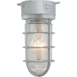 Utility Vapor Tight Ceiling Mount light Fixture