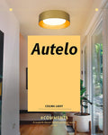 AUTELO Gold Flush Mount Ceiling Light, LED 14" Ceiling Mount Light Fixture with Frosted Glass for Bedroom Foyer Hallway C3336XS BRZ LED