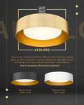 AUTELO Gold Flush Mount Ceiling Light, LED 14" Ceiling Mount Light Fixture with Frosted Glass for Bedroom Foyer Hallway C3336XS BRZ LED