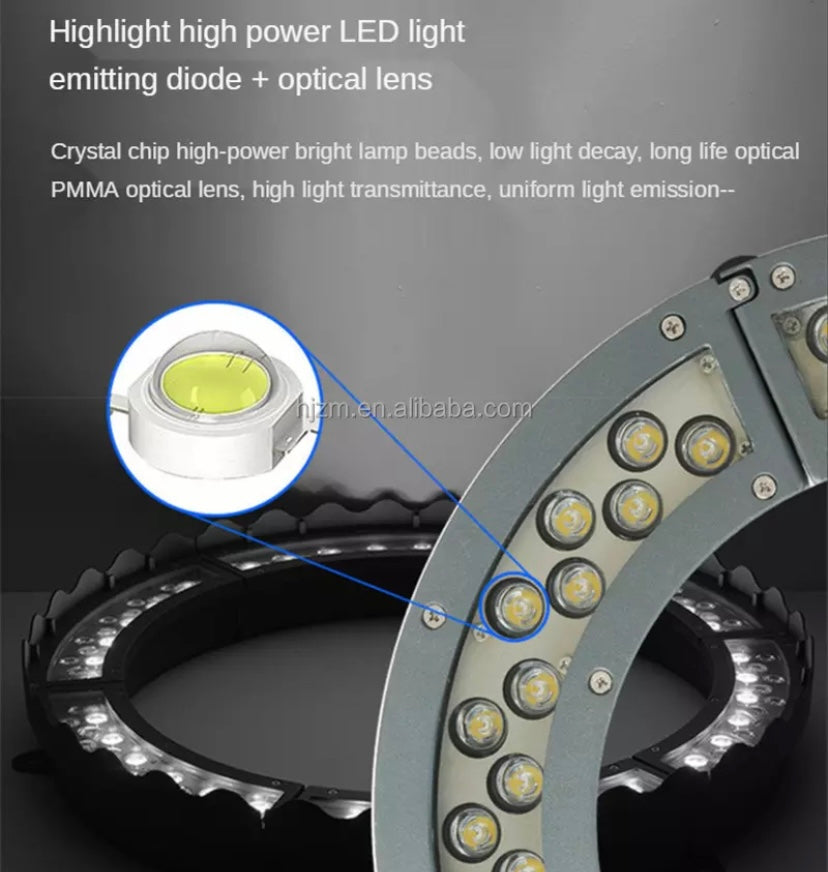 Circular Tree Light The LED Landscape Circle Tree Light is perfect for enhancing landscapi ...